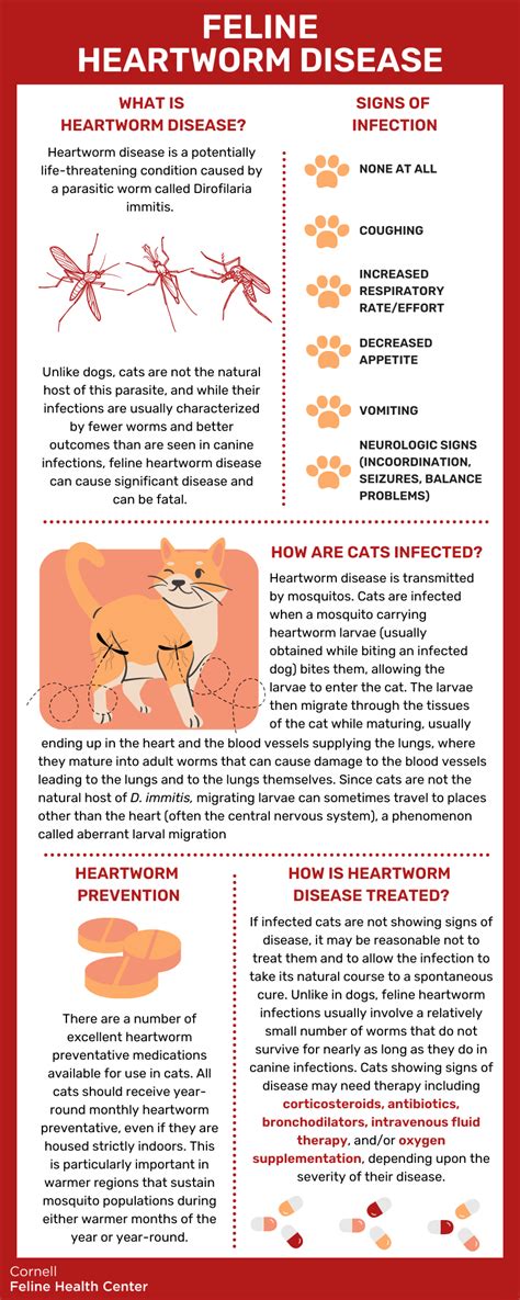 Heartworm In Dogs Cats Causes Prevention Treatment - Pet Food Monday