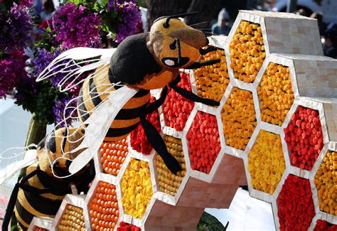 Rose Parade 2023: Here are the judges’ picks for best floats – Pasadena ...