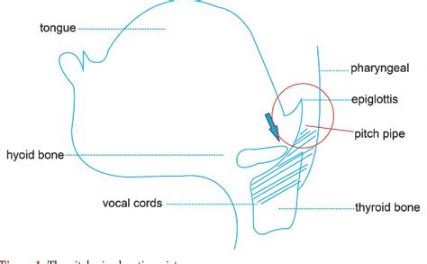 Figure 1 from The Application of the Countertenor Technique in Chinese ...