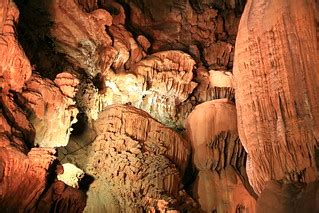 Giant Magic Toadstools | emergent patterns in iterative grow… | Flickr