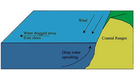 The Science of Upwelling: How the Ocean Surface "Randomly" Cools Off | The Inertia