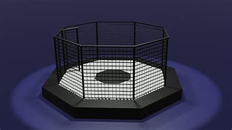 MMA Octagon Cage free VR / AR / low-poly 3D model | CGTrader