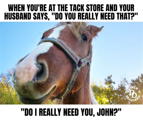 Horse Jumping Memes