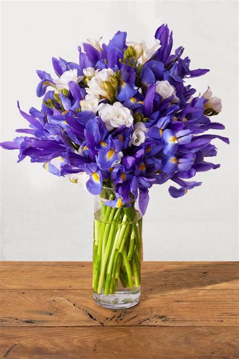 Awesome Iris Flower Bouquet 15+