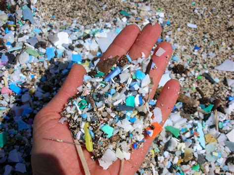 What Are Microplastics & Why Are They Harmful to Humans?