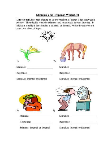 Stimulus and Response Worksheet