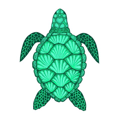 Sea turtle in line art style. Hand drawn vector illustration. Set of ocean elements - Stock ...