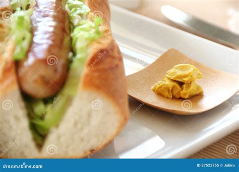 Hot Dog with Mustard stock image. Image of flavorsome - 27522755