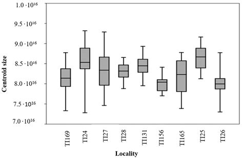 Characterization of Triatoma infestans (Klug, 1834) (Hemiptera: Heteroptera, Reduviidae) from ...