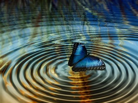 Personal Development And The Butterfly Effect