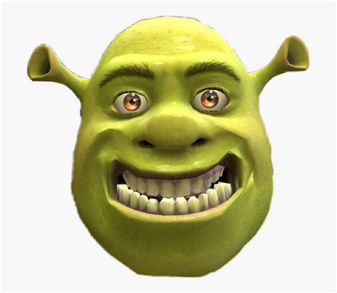 Shrek Meme Funny | ubicaciondepersonas.cdmx.gob.mx