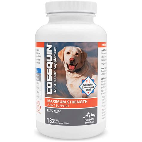 The Best Dog Joint Supplements - Help Them Stay Active