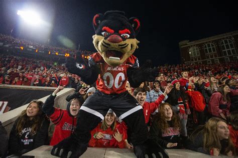 WCPO: UC's first ever mascot coach for Bearcat is former wearer of suit himself | Mirage News