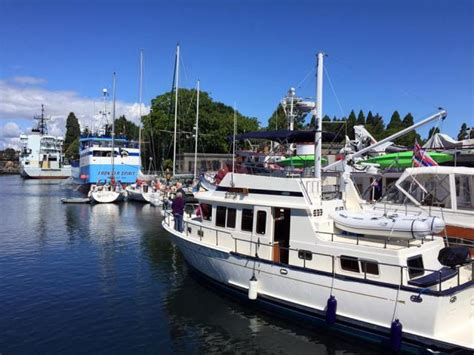 Ballard Locks variety of boats.June 2016 | Wedgwood in Seattle History