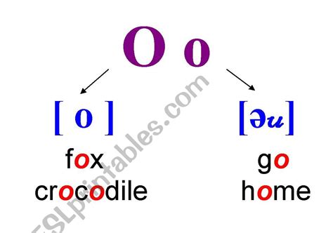 the pronunciation of letter "O" in open and closed syllables - ESL worksheet by Marishka16