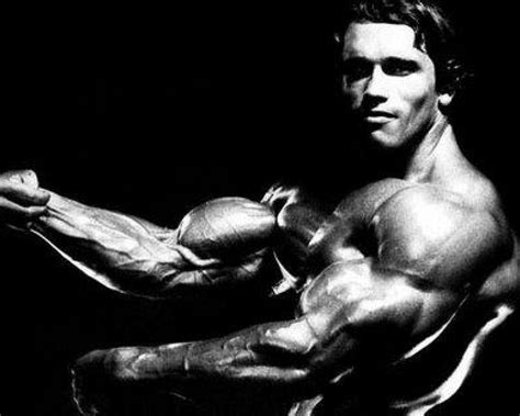 Arnold Schwarzenegger Wallpapers - Wallpaper Cave