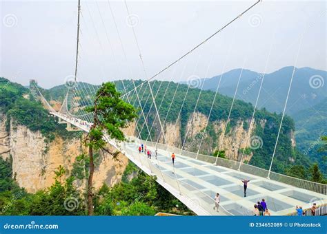 Zhangjiajie S National Forest Park the Grand Canyon of Zhangjiajie Skywalk Glass-bottom Bridge ...