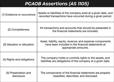 Audit Assertions | With Examples