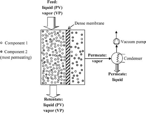 4 Schematic diagram of pervaporation and vapor permeation principles... | Download Scientific ...