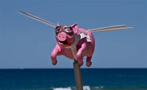 Pig Flying Sculpture - Free photo on Pixabay - Pixabay