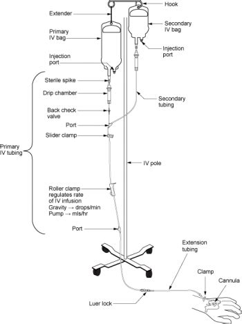 23.2 IV Therapy Basics – Nursing Skills