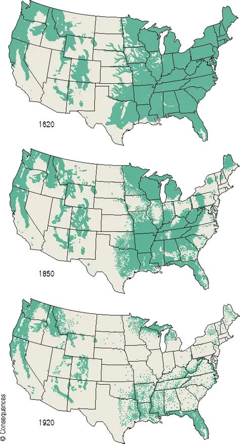 The forest cover of the United States mapped - Vivid Maps