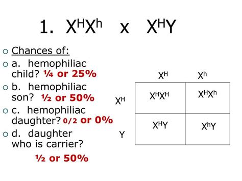 Xhxh Hemophilia X (2022) Get Complete Details!