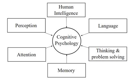 Cognitive Psychology Definition, Theories and Examples