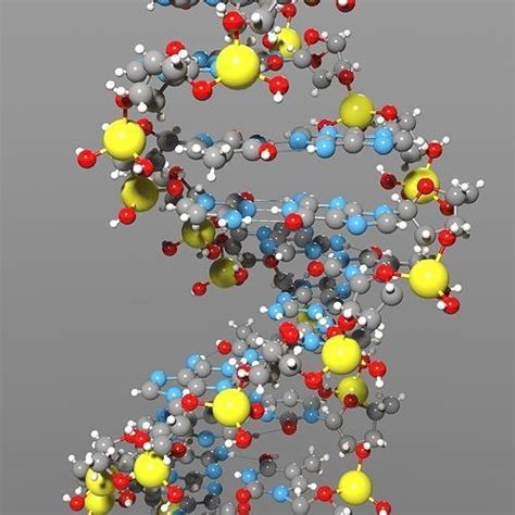 DNA Science model 3D model | CGTrader