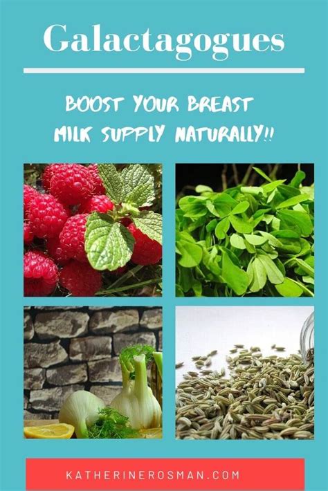 Galactagogues are natural herbs that can boost your body's breast milk ...