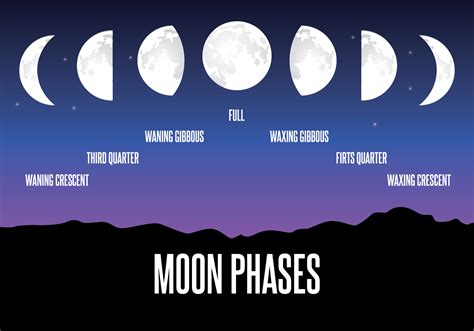 Moon Phase Illustration 106967 Vector Art at Vecteezy