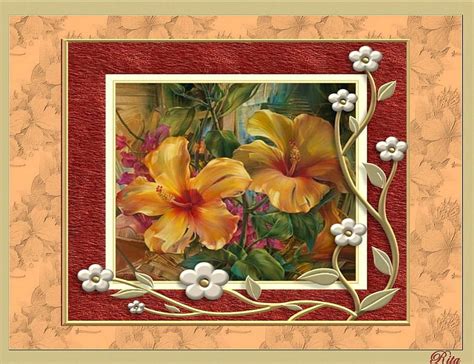 720P free download | HIBISCUS-GARDEN DELIGHTS, yellow-orange, garden delights, floral frame ...