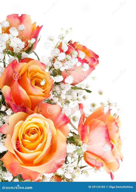 Orange Roses With White Flowers Stock Photos - Image: 29133183