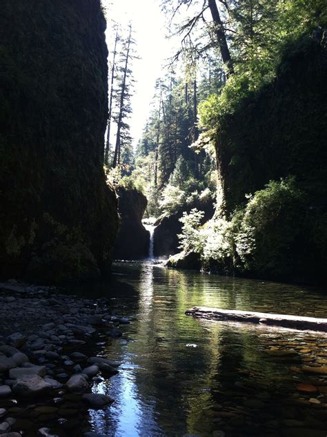 Eagle creek hiking trail Oregon Hikes, Eagle Creek, Hiking Trails, Destinations, Enjoyment ...