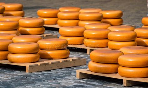 Iconic Images of Dutch Cheese Making Traditions in the Netherlands ...