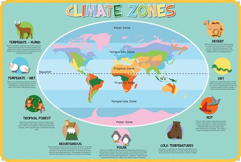 What Are The Types Of Climate Zones