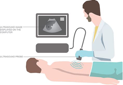 Hocus POCUS—Using the Magic of Ultrasound to Look Inside the Body ...