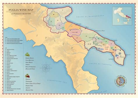 Puglia Wine Region | a Guide by Cellar Tours™