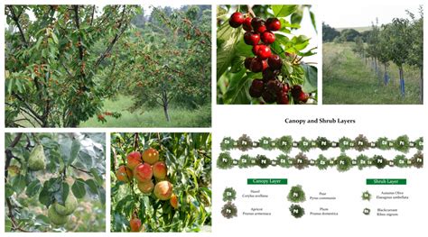 Polyculture Design Webinars