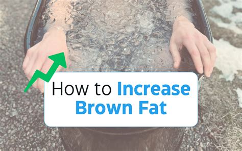 How To Increase Brown Fat: Enhancing Your Metabolism