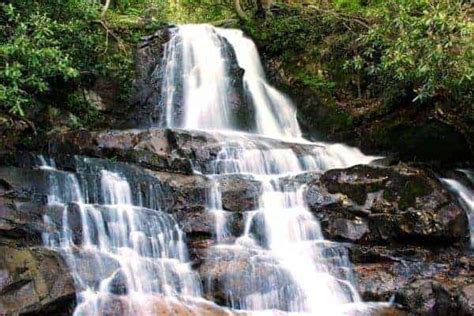 Top 5 Smoky Mountain Hiking Trails with Waterfalls for Families to Enjoy