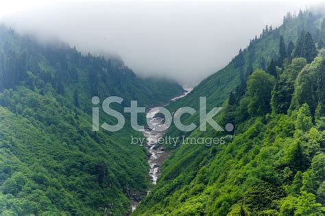 Foggy Waterfall At Ayder Plateau Of Rize Turkey Stock Photo | Royalty-Free | FreeImages