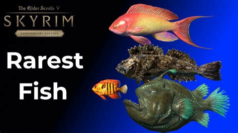 Skyrim Where to find the Rarest Fish in Skyrim - YouTube