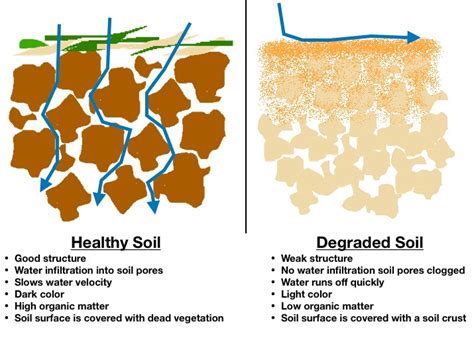 Soil structure | Symbiosis Agriculture