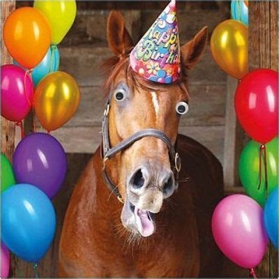 Happy Birthday Horse Clipart | Happy birthday horse, Horse birthday ...