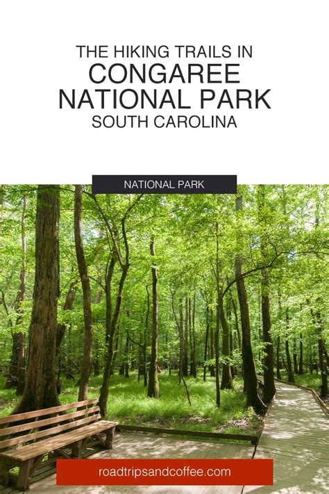 Hiking Trails in Congaree National Park | Congaree national park, Congaree, National parks