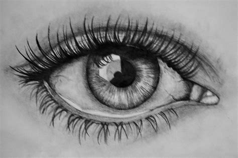 Art by Lea Kirkegaard | Esboços de olhos, Olhos maravilhosos, Imagens para desenhar