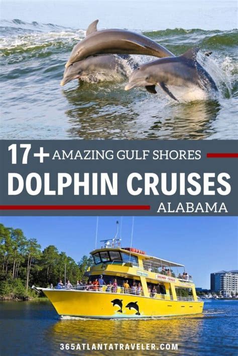 Dolphin Cruise Gulf Shores: 17+ Amazing Tours You’ll Love