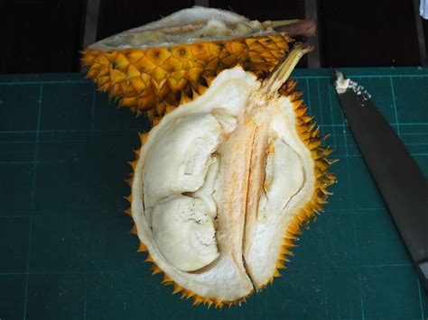 Updated Guide to 234 Thailand Durian Varieties - Year of the Durian