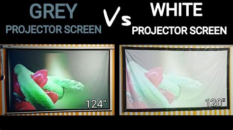 Grey Projector Screen Vs White Projector Screen | Detailed Comparison - YouTube